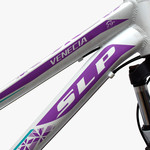 Bicicleta Aspen 2953L R29 21V Dis.alum.19 Shimano Negr-Amar
